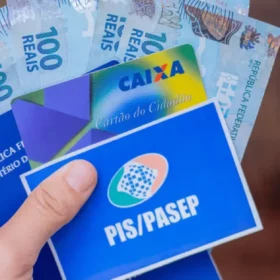 Consultar PIS pelo CPF