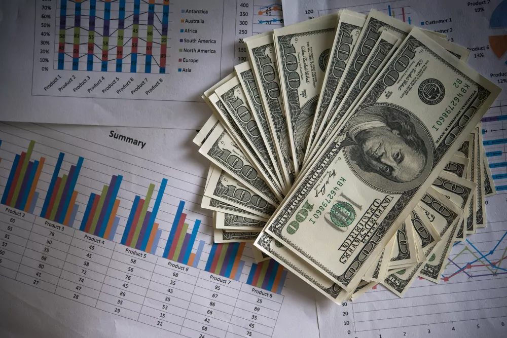 Setores com restrições para capital estrangeiro