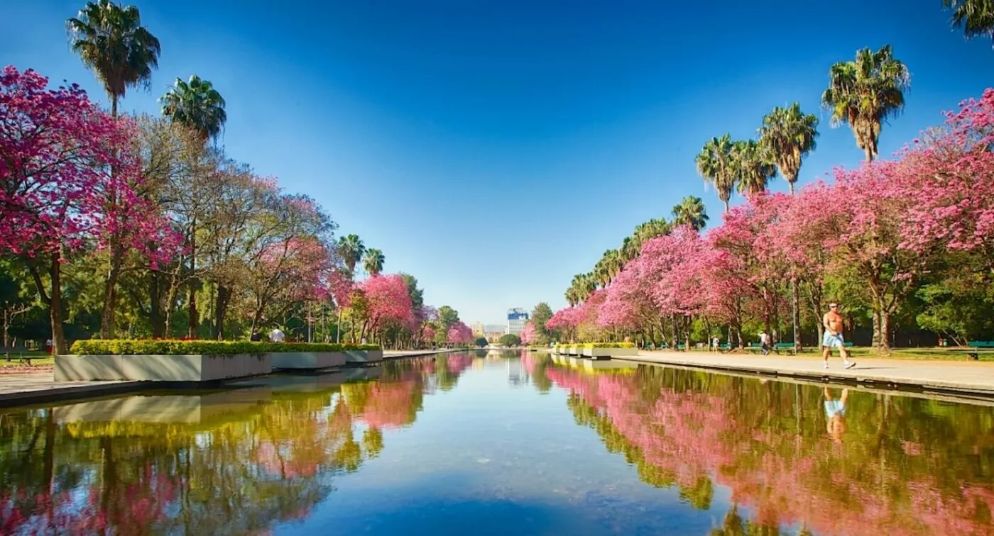 Escritório de contabilidade em Porto Alegre: Bosque em Porto Alegre