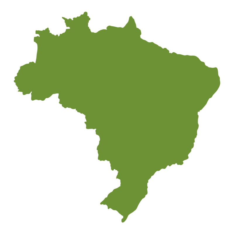shared competence between states, municipalities and the Federal District